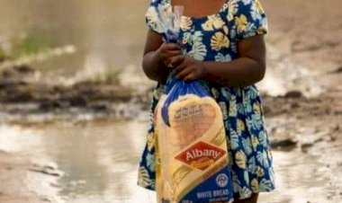 O Sorriso que Mudou Vidas