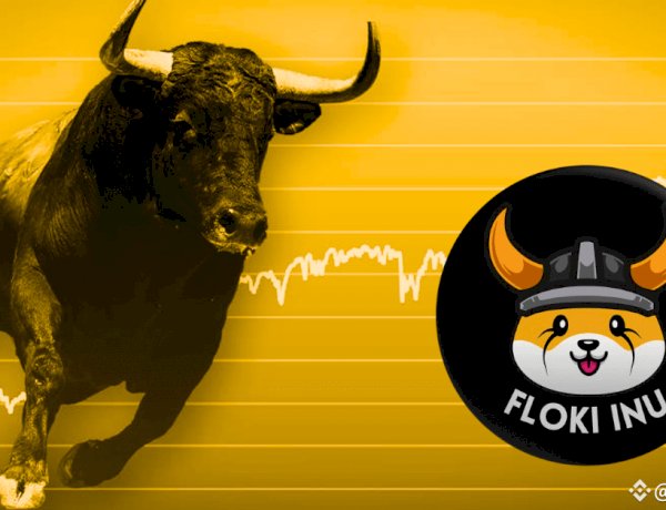 Floki Inu Prestes a explodir