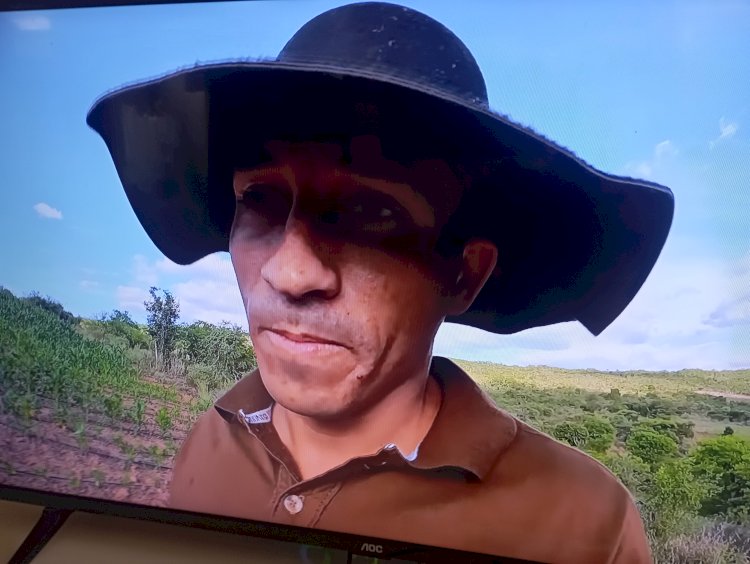 De Donald Trump a Adieverson: Como o Bitcoin Transforma Vidas em Todos os Níveis