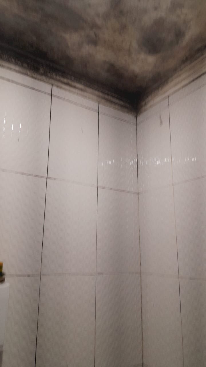 Candeias na TV: Uma Cidade de Faz de Conta